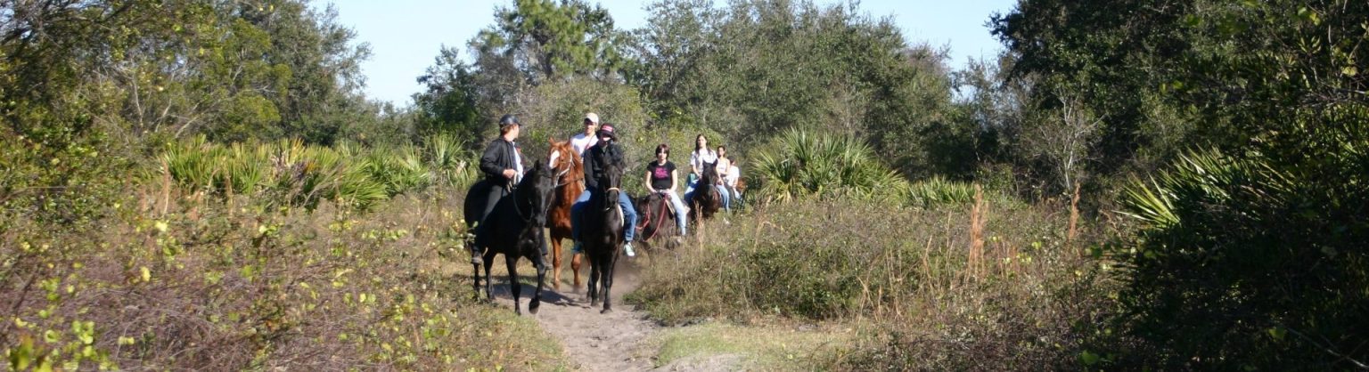 Horseback Riding - Trail Rides - Sun City Stables